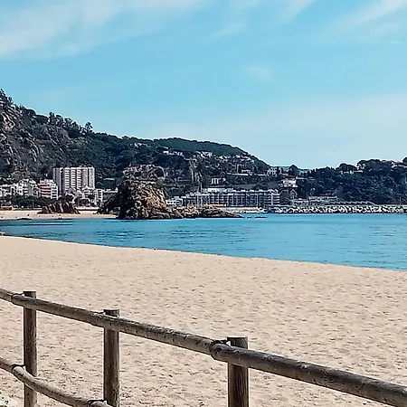 Apartamento Piso 3 A 100m Del Mar Blanes